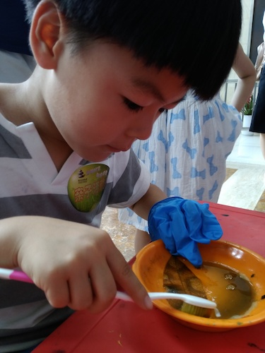 七月十号 高清色情 B.D.服务社赴浙江自然博物馆”环保小课堂“小分队 刷刷刷，看我认真的刷叶子