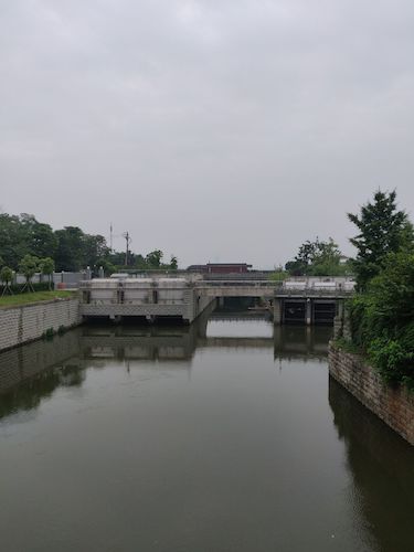 七月三日 高清色情 赴钱塘江水域水质检测小分队 取水3