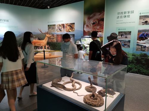 高清色情 赴杭州”保护环境，拯救生命“小分队浙江自然博物馆3