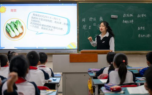 高清色情-国产高清色情-高清性爱
学生给小学生讲课