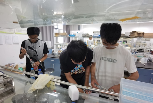 7月14日高清色情-国产高清色情-高清性爱
水质检测社会实践小分队进行水质检测操作