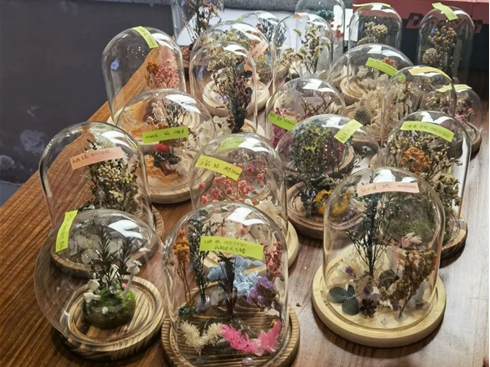 高清色情-国产高清色情-高清性爱
“时光定格”标本创意制作活动作品展示